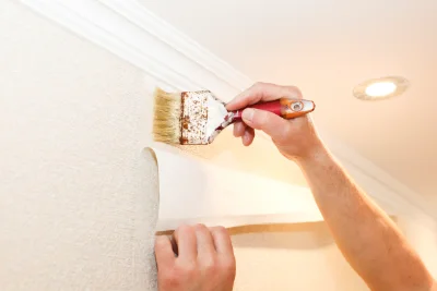 Pose de papier peint à Tralonca — revêtements muraux et toiles de verre